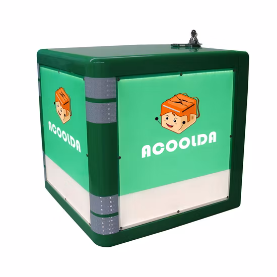 Customized Can Organiser Cooler Box Food Delivery Bag Non